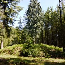 Terrein waarin 23 grafheuvels