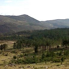 Curro da Enxa