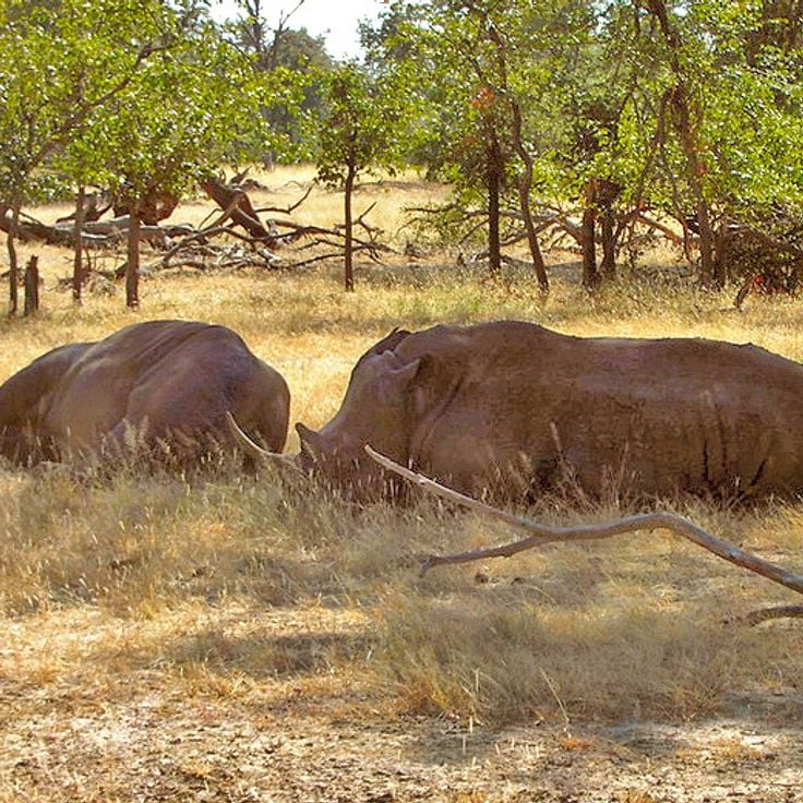 Mosi-oa-Tunya National Park