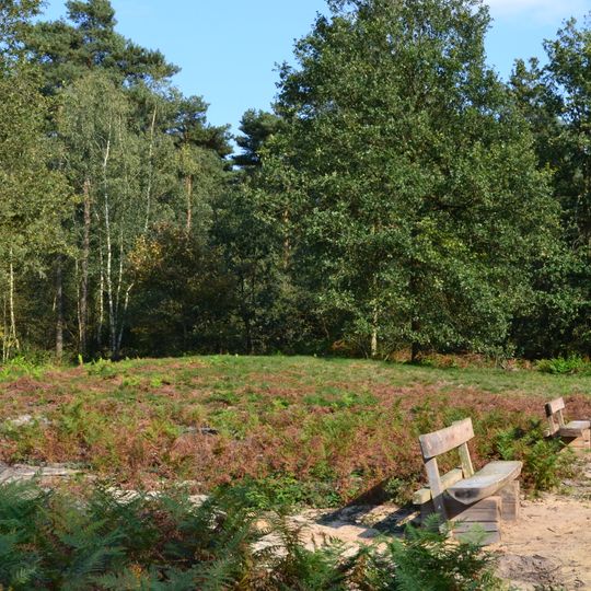 Terrain with four tumuli and an urn field Aan de Watermolen