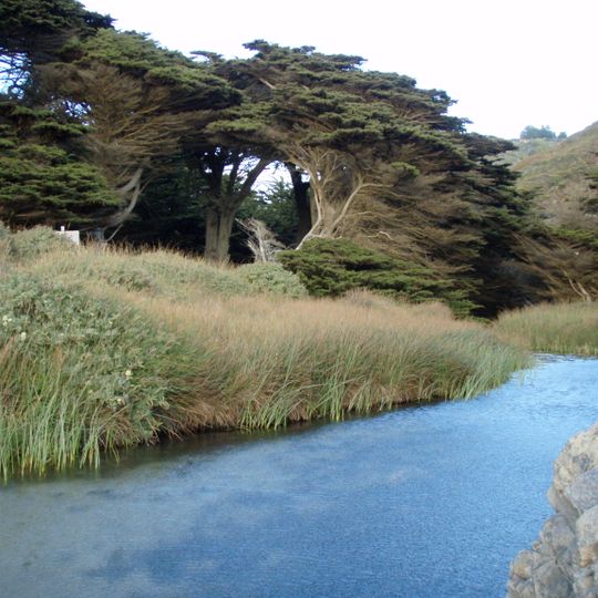 Pfeiffer Big Sur State Park