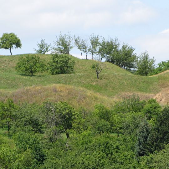 Bohuslavické stráně
