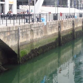 Dock Basin Wall (North)