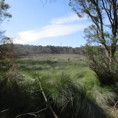 Tamworth Hill Swamp
