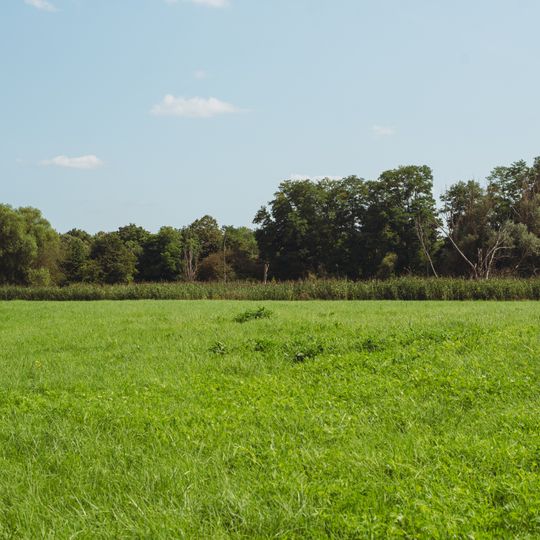 Saaraue nordwestlich Wadgassen