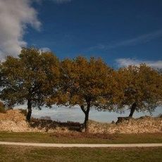 Archaeological Park of Urbs Salvia