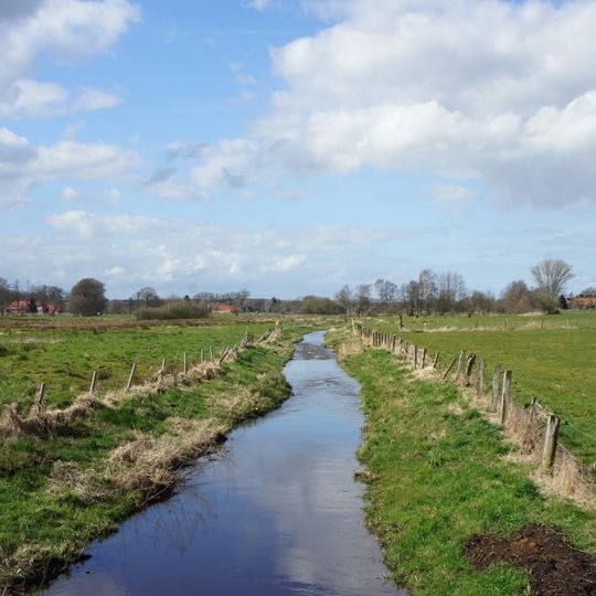 Dünsener Bach - Steller Heide