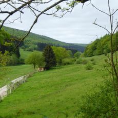 Moore und Wälder im Hochsolling, Hellental