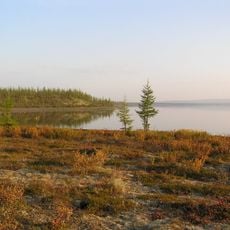 Lake Vivi