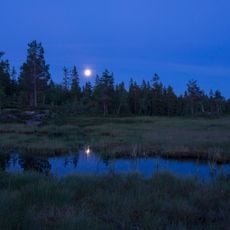 Rundkollen og Sortungsbekken