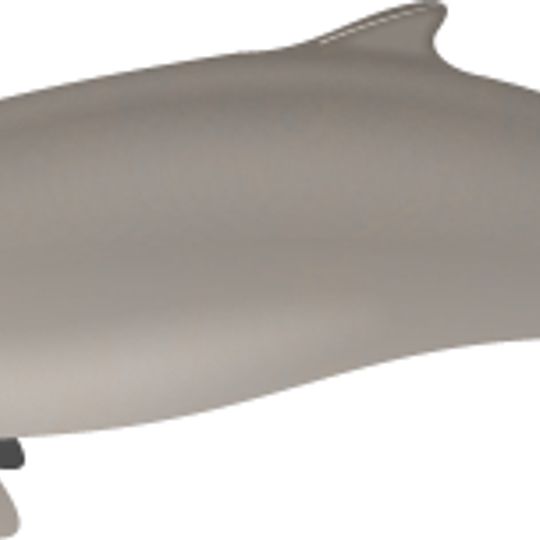 Malampaya Sound Protected Landscape/Seascape