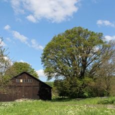 Steinhofgründe