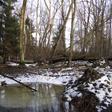 Bažantnice u Pracejovic