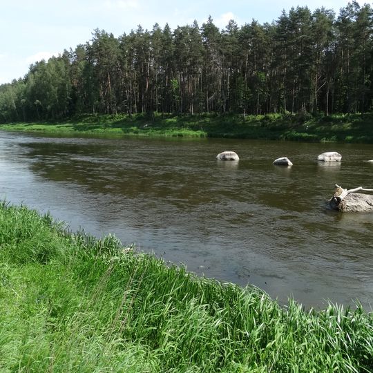 Verkšionių akmenys
