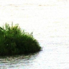 Keibul Lamjao National Park