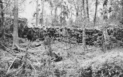 Immagine alternativa