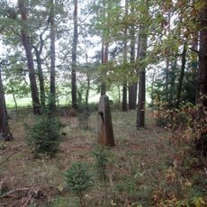 Kříž východně od Zahorčiček v lesíku