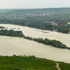 Rüdesheimer Aue