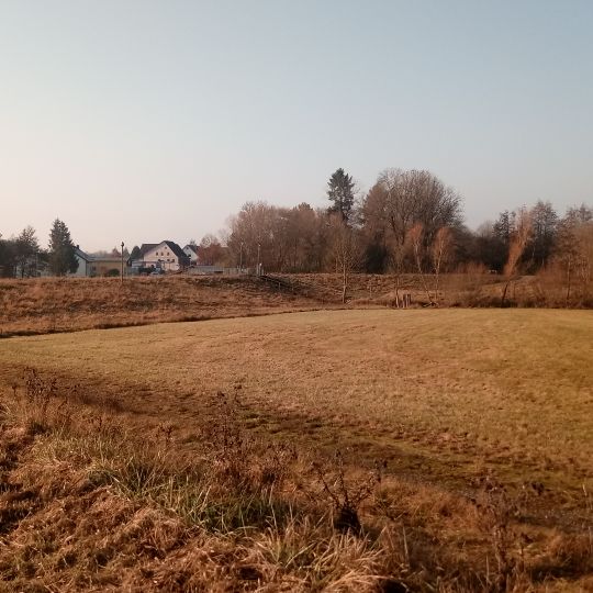 Hochwasserrückhaltebecken Zehntwiesen