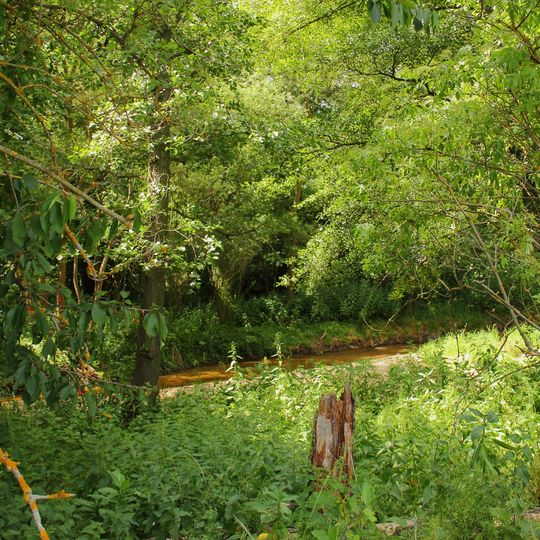 NÖ-Naturdenkmal GD-140 Storchenwiesen und Auwaldzellen Großdietmanns