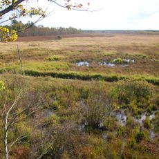 Dubringer Moor