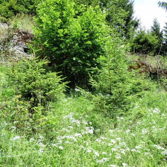 Burgruine Niedertrixen