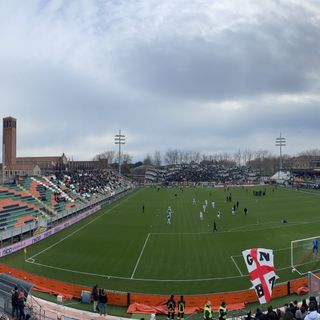 Stade Pier-Luigi-Penzo