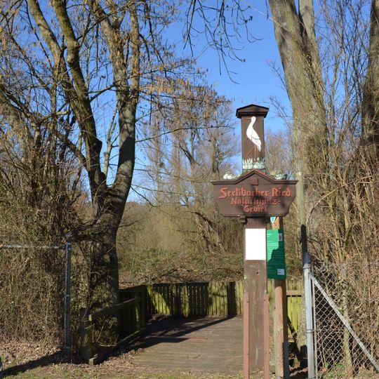 Seckbacher Ried