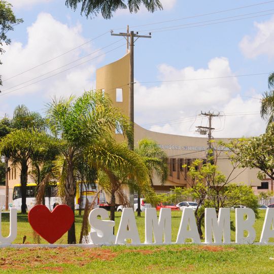 Samambaia