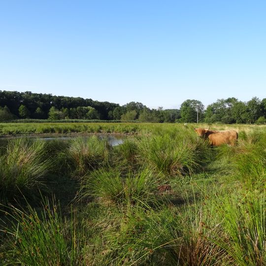 Breitwiese bei Steinfurth und Oppershofen