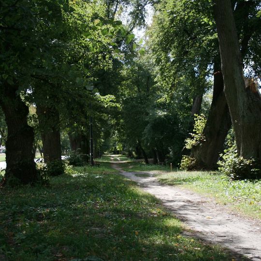 Aleja lipowa obok szosy Prawiedniki – Żabia Wola , dł. ok. 550 metrów