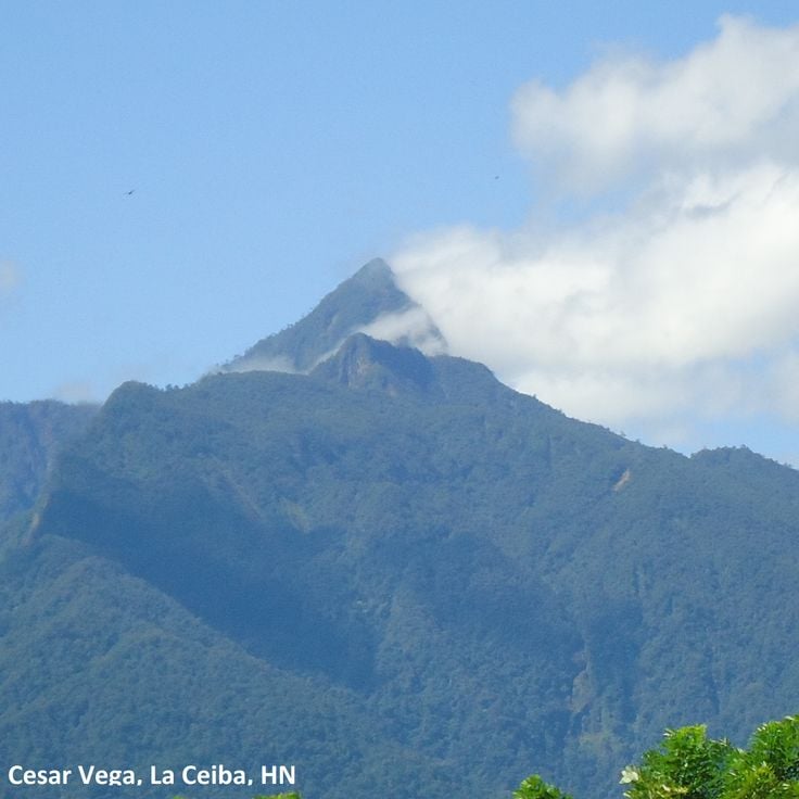 Parque Nacional Pico Bonito