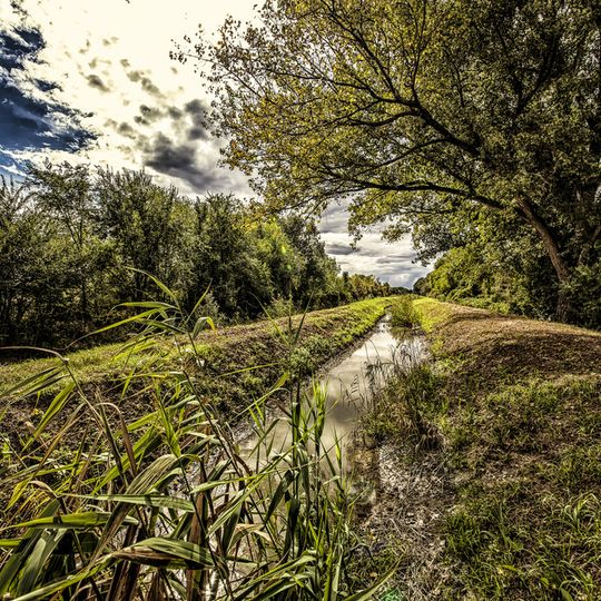 Oasi di riequilibrio ecologico del "Torrazzolo"