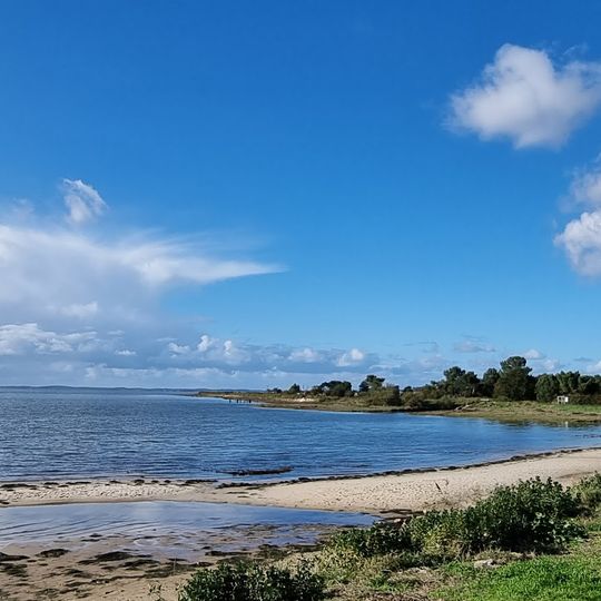 Plage du Bassin de Baignade de Lanton