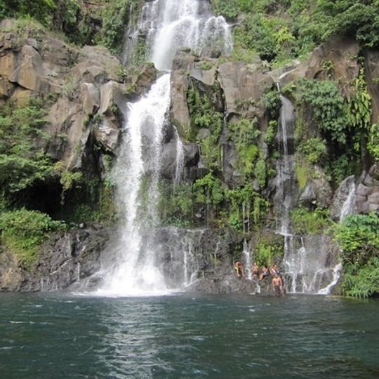 Bassin des Aigrettes