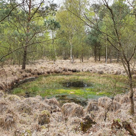 Großes Everstorfer Moor
