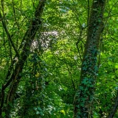 "See" in St. Georgen