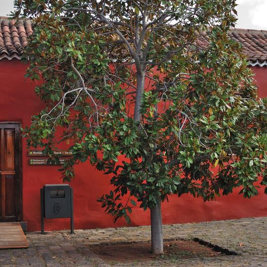 La Casa del Vino La Baranda