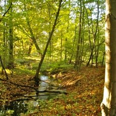 Rodenbeker Quellental