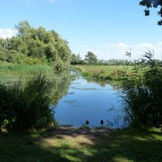 Sliedrechtse Biesbosch
