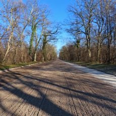 Chantilly Forest