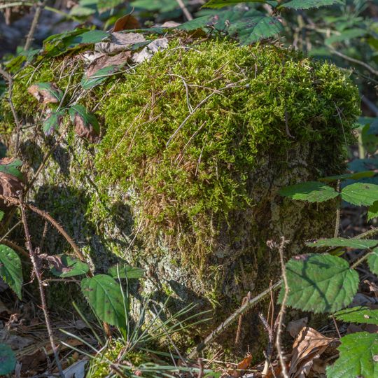 Grenzstein Untere Gemeinde in Fürth
