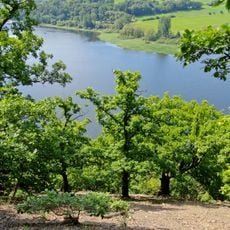 Kahle Haardt bei Scheid am Edersee