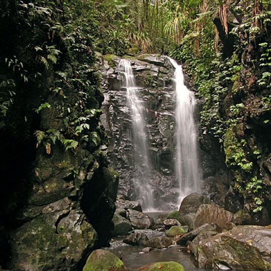 Lamington National Park