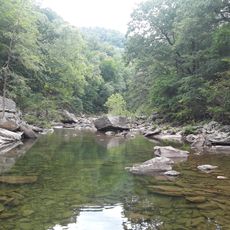 Parque Estatal Cañón del Arroyo North Chickamauga