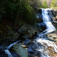 Pisgah National Forest