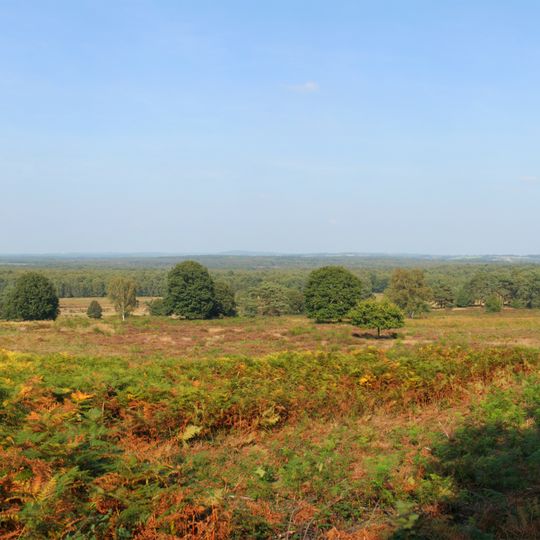Wahner Heide