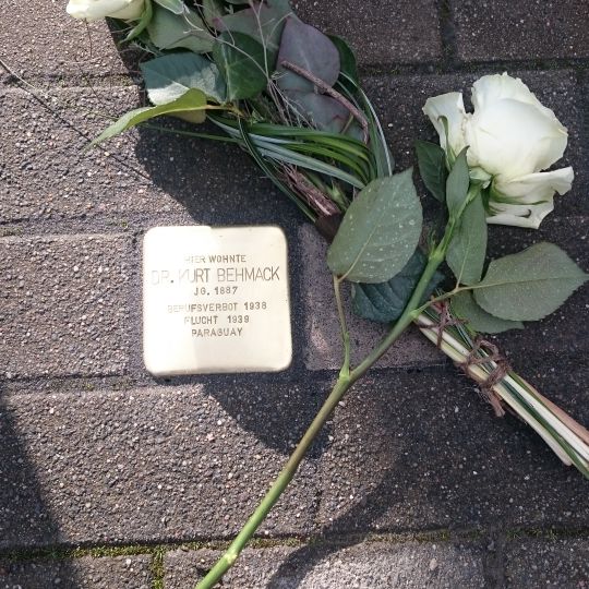 Stolperstein dedicated to Dr. Kurt Behmack