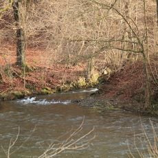 Herbringhauser Bachtal