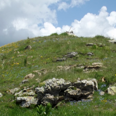 Cime Ventose